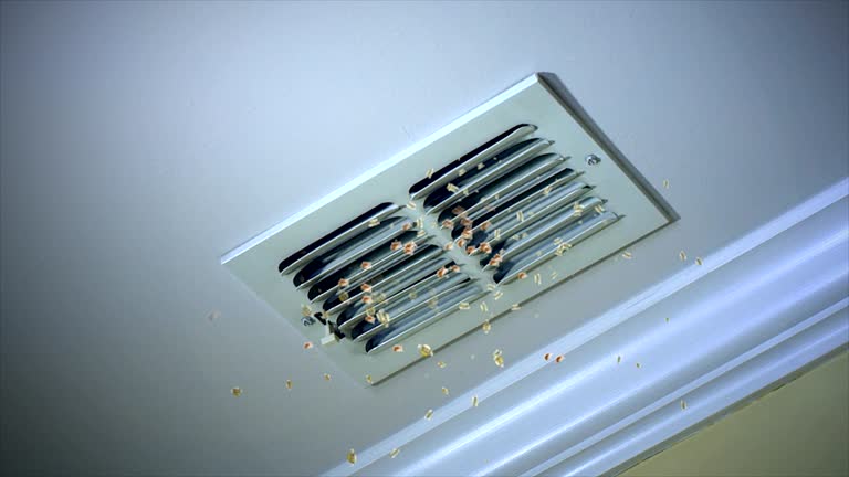 Best Affordable Duct Cleaning Services  in Easton, CA